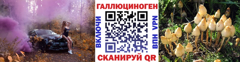 Псилоцибиновые грибы мухоморы  Красноярск 